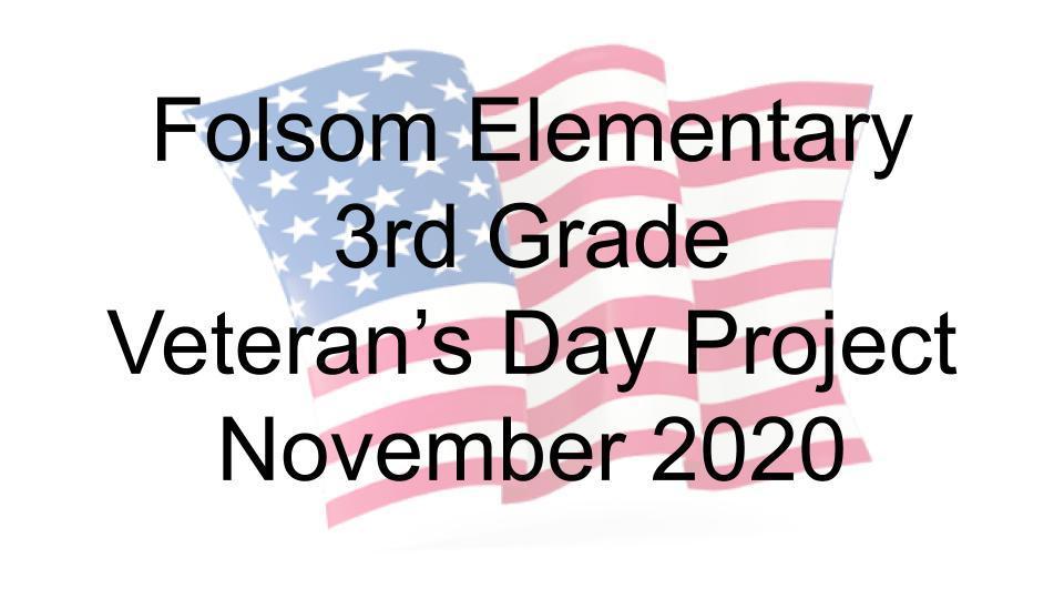 Veteran's Day Project