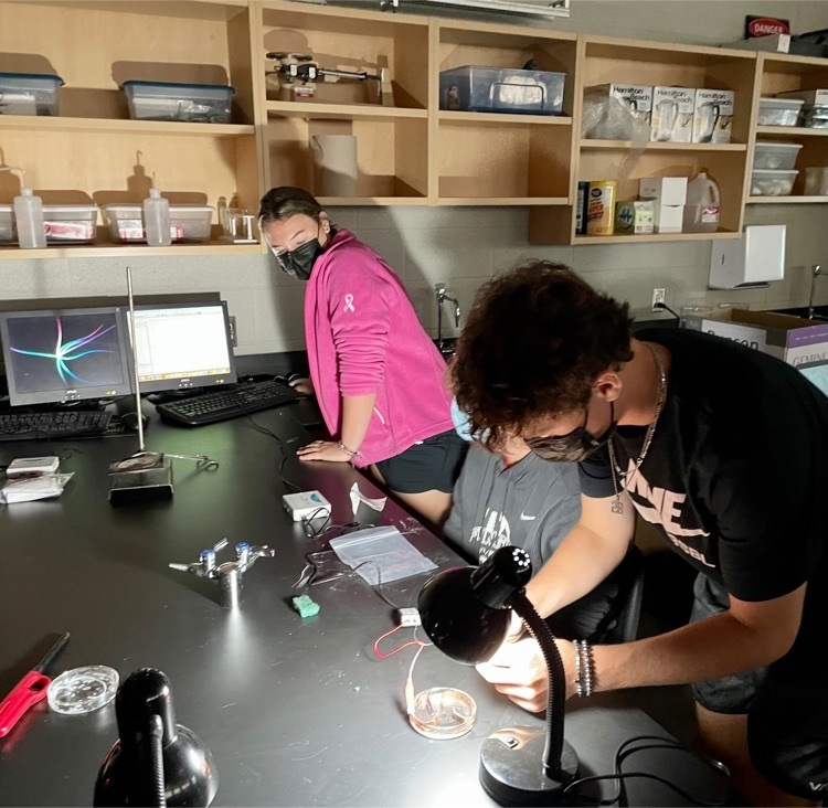 students working in a science lab