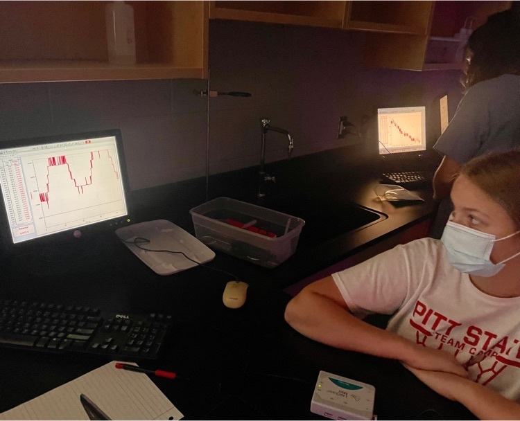 student working on a computer