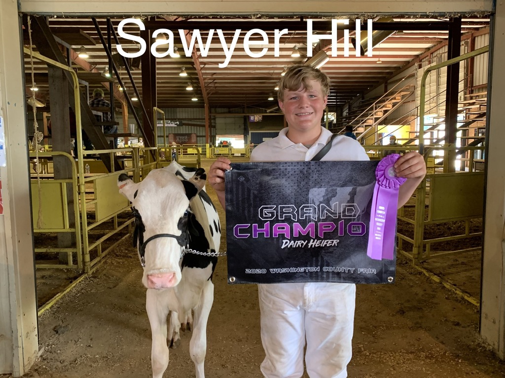 Sawyer Hill picture with his holstein heifer. 