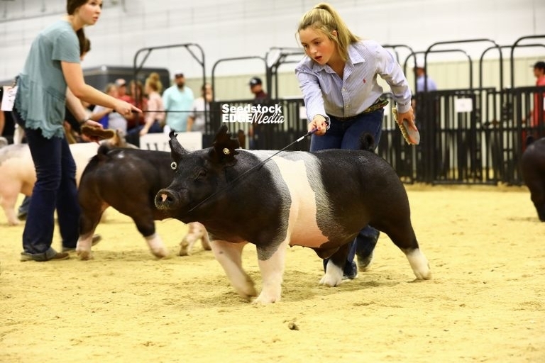 Student showing her hog